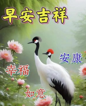今日早安愉快精美图片分享
