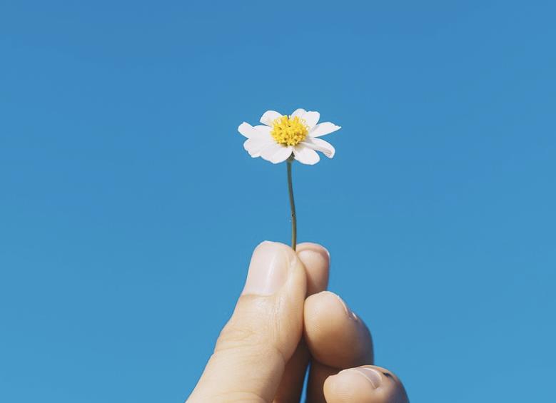 有的女婿不喜欢去丈母娘家的原因是什么