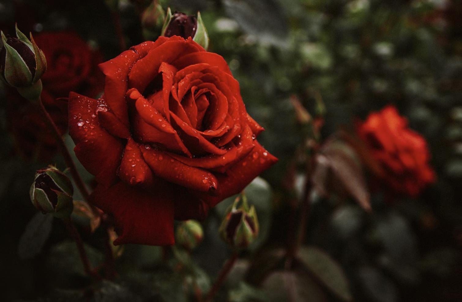 十个不要脸的笑话