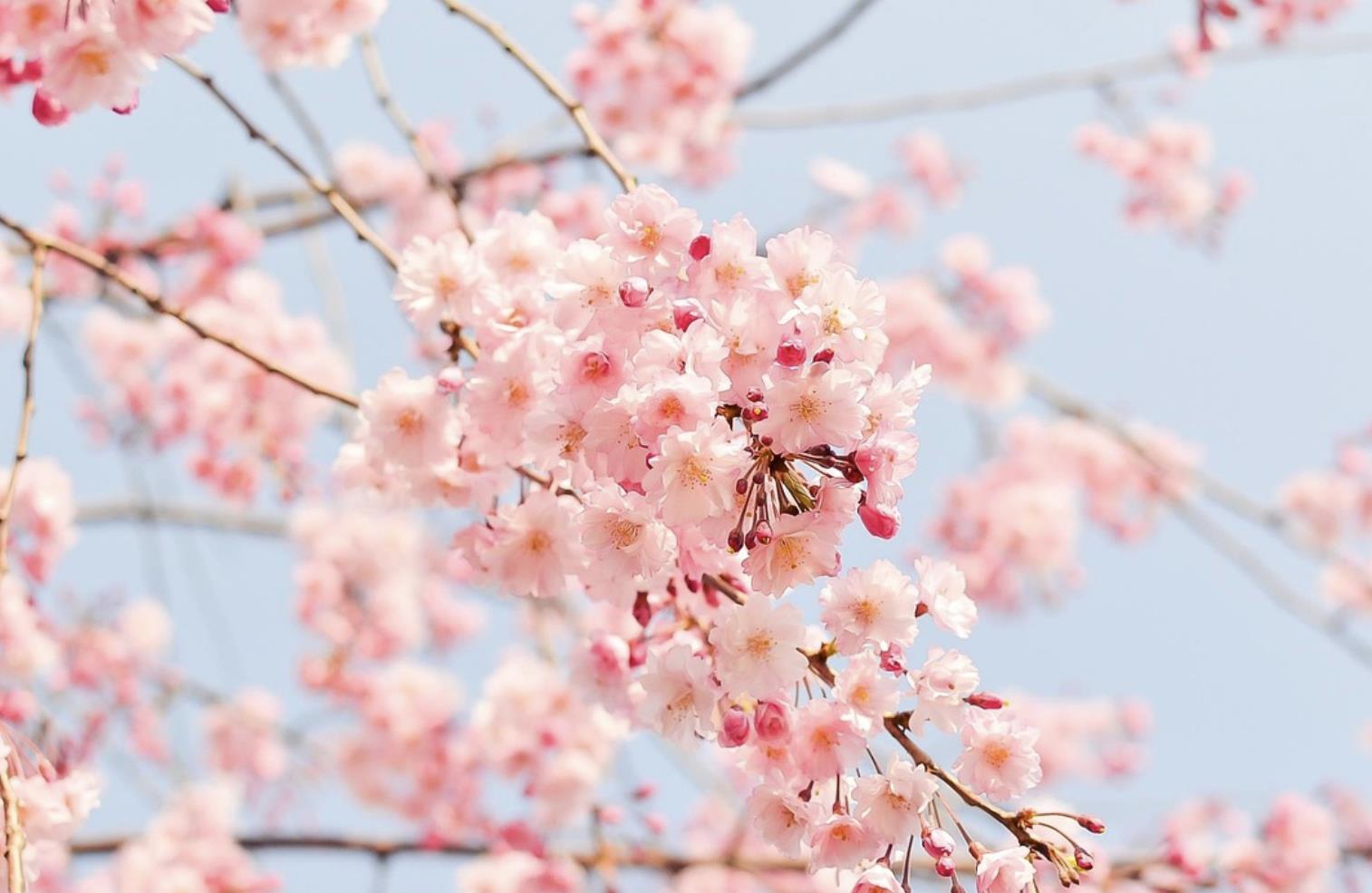 十个不要脸的笑话