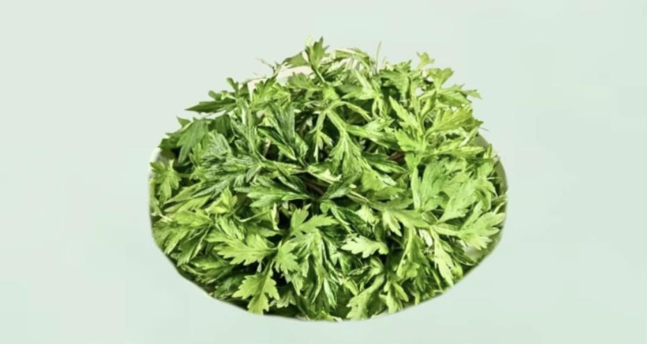 90岁以上老年人送礼