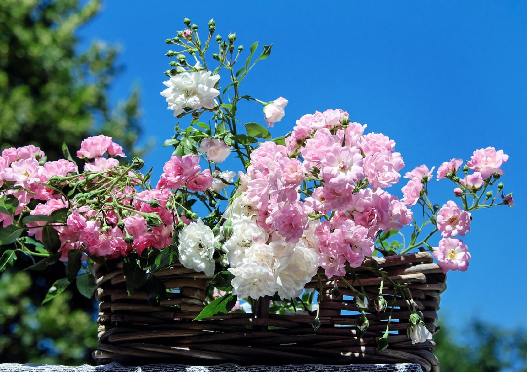 结婚与不结婚的人生有什么区别