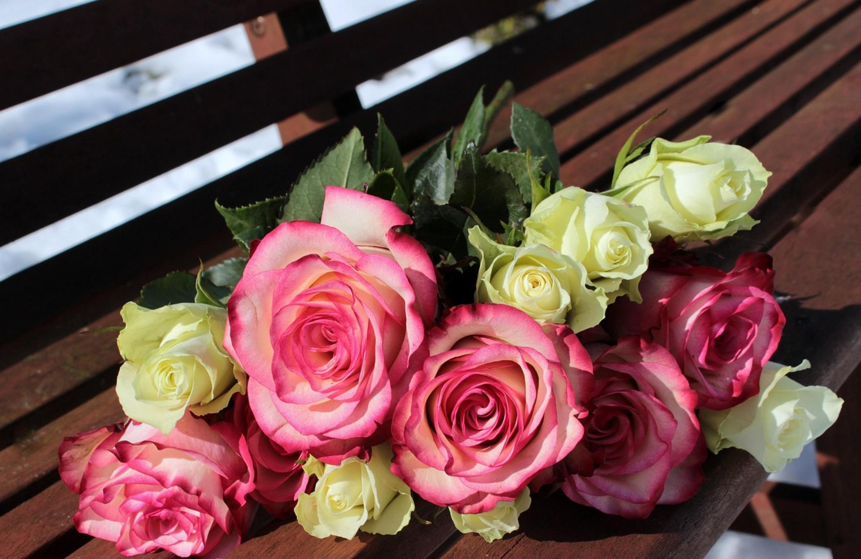 结婚与不结婚的人生有什么区别