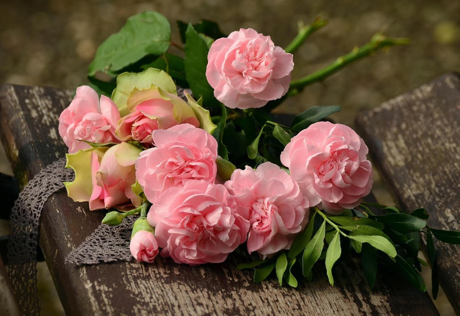 女性不结婚会如何