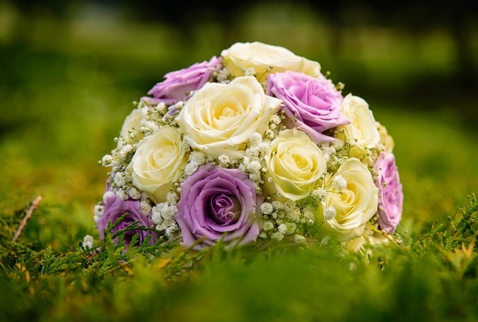 女性不结婚会如何