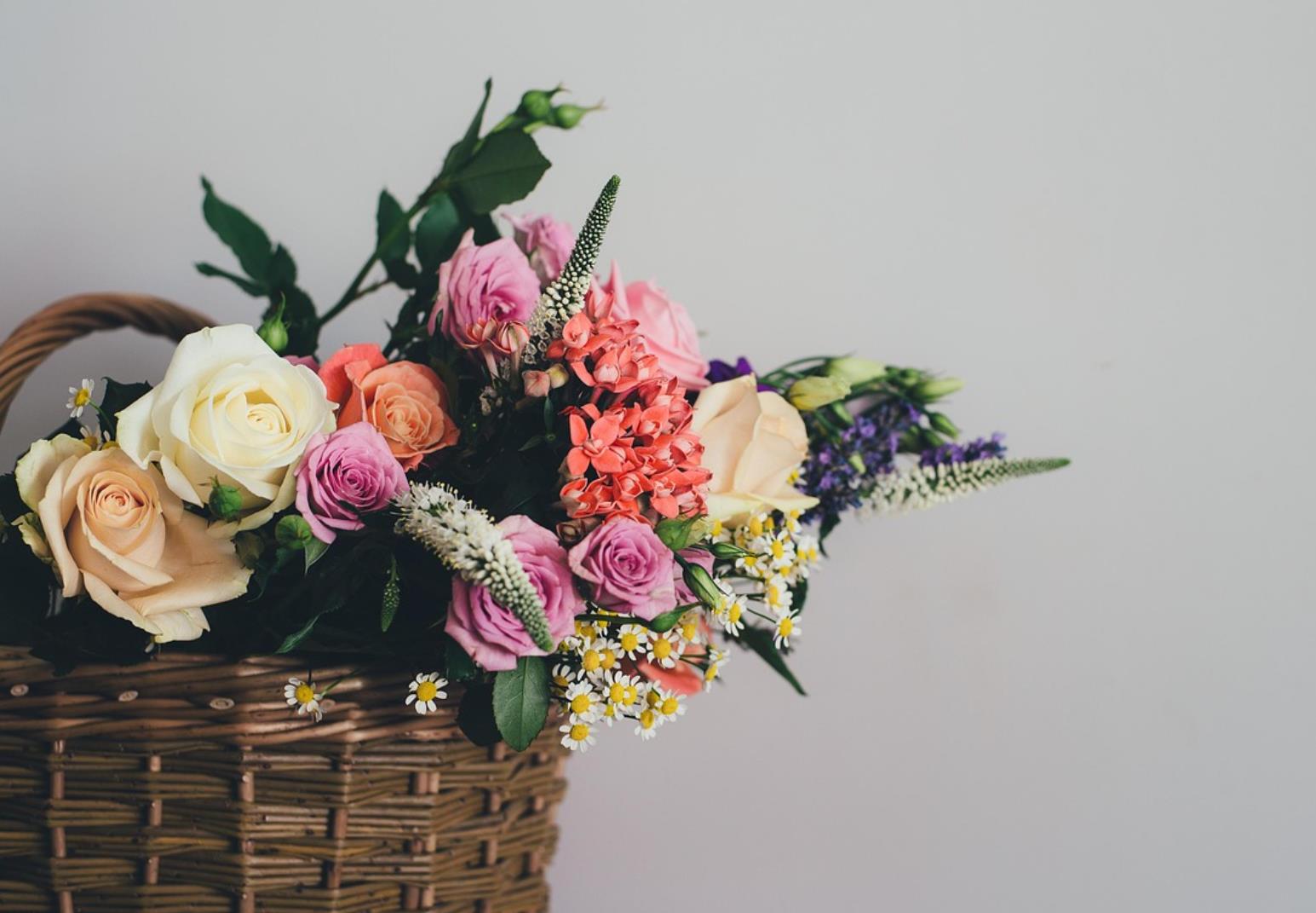 女性不结婚会如何