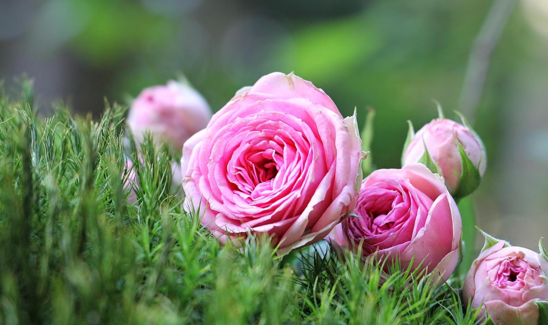 老年人同床睡觉好还是分床睡觉好