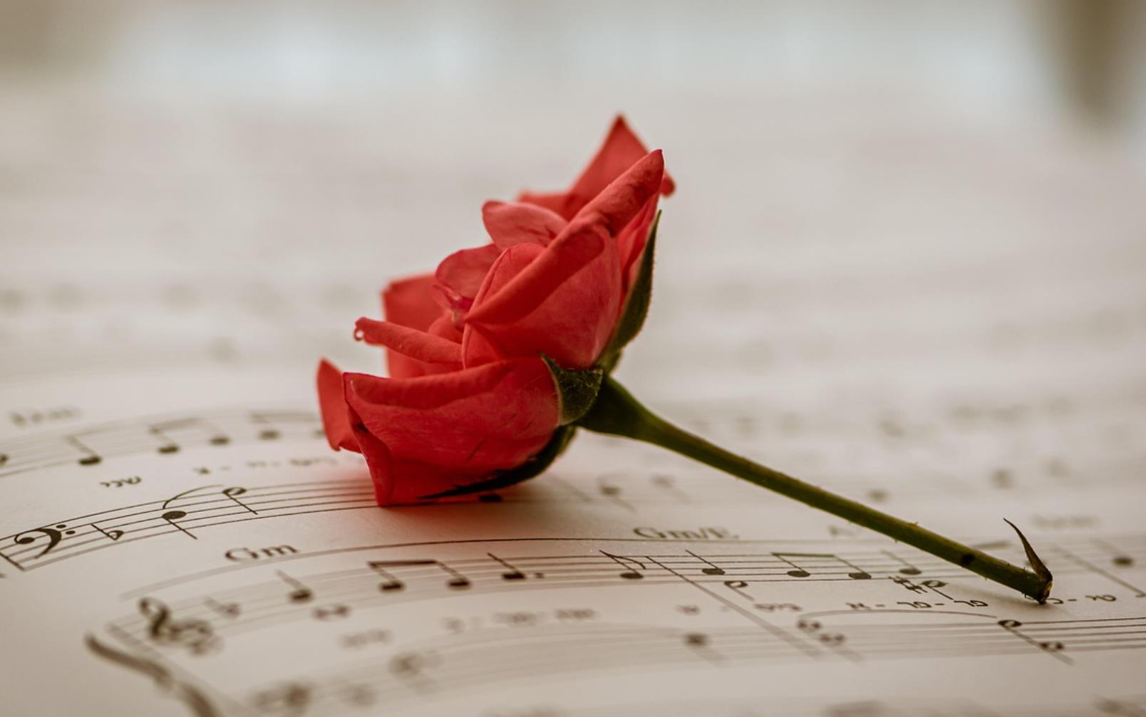 55岁后夫妻分床睡正常吗