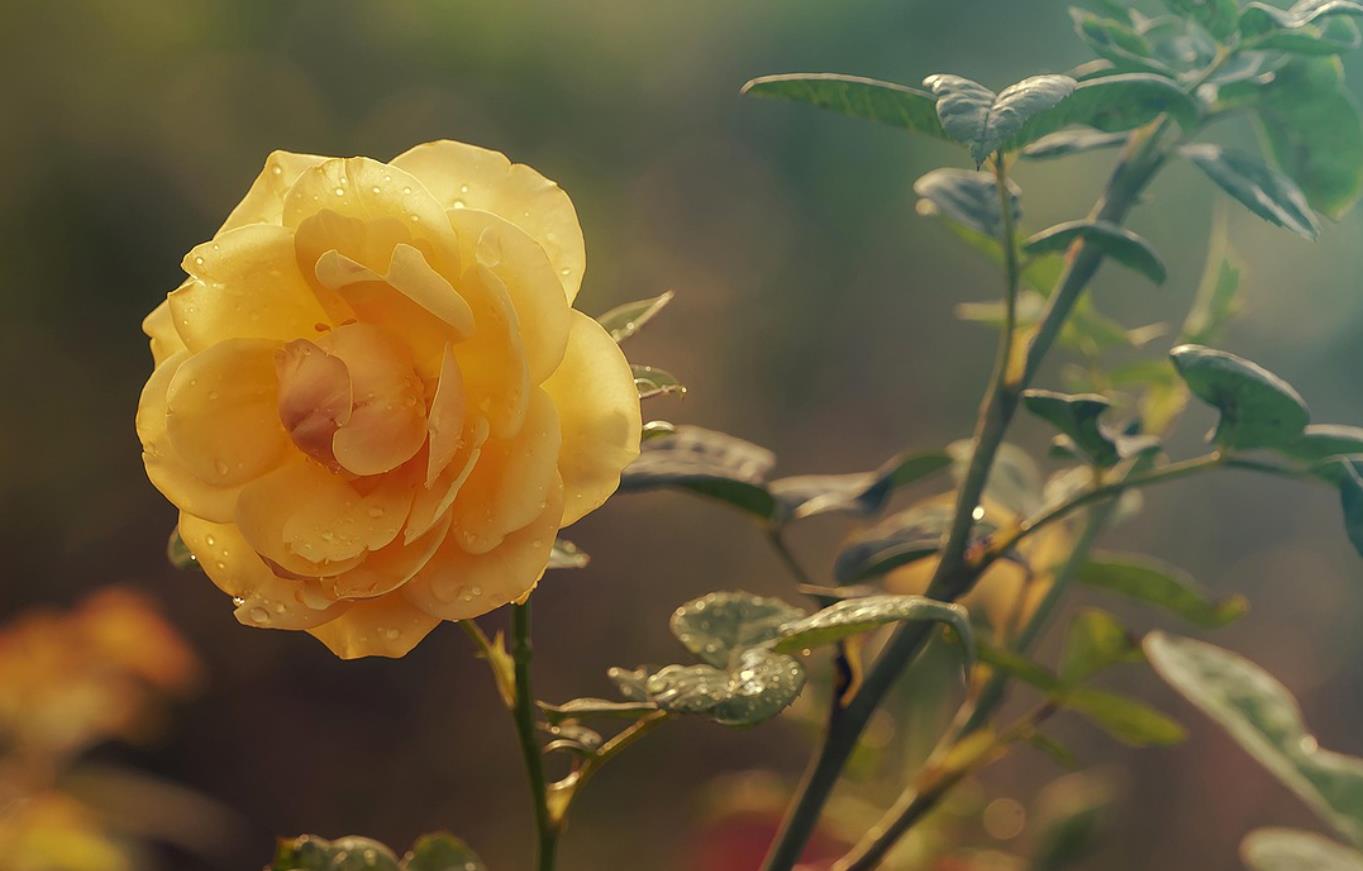 55岁后夫妻分床睡正常吗