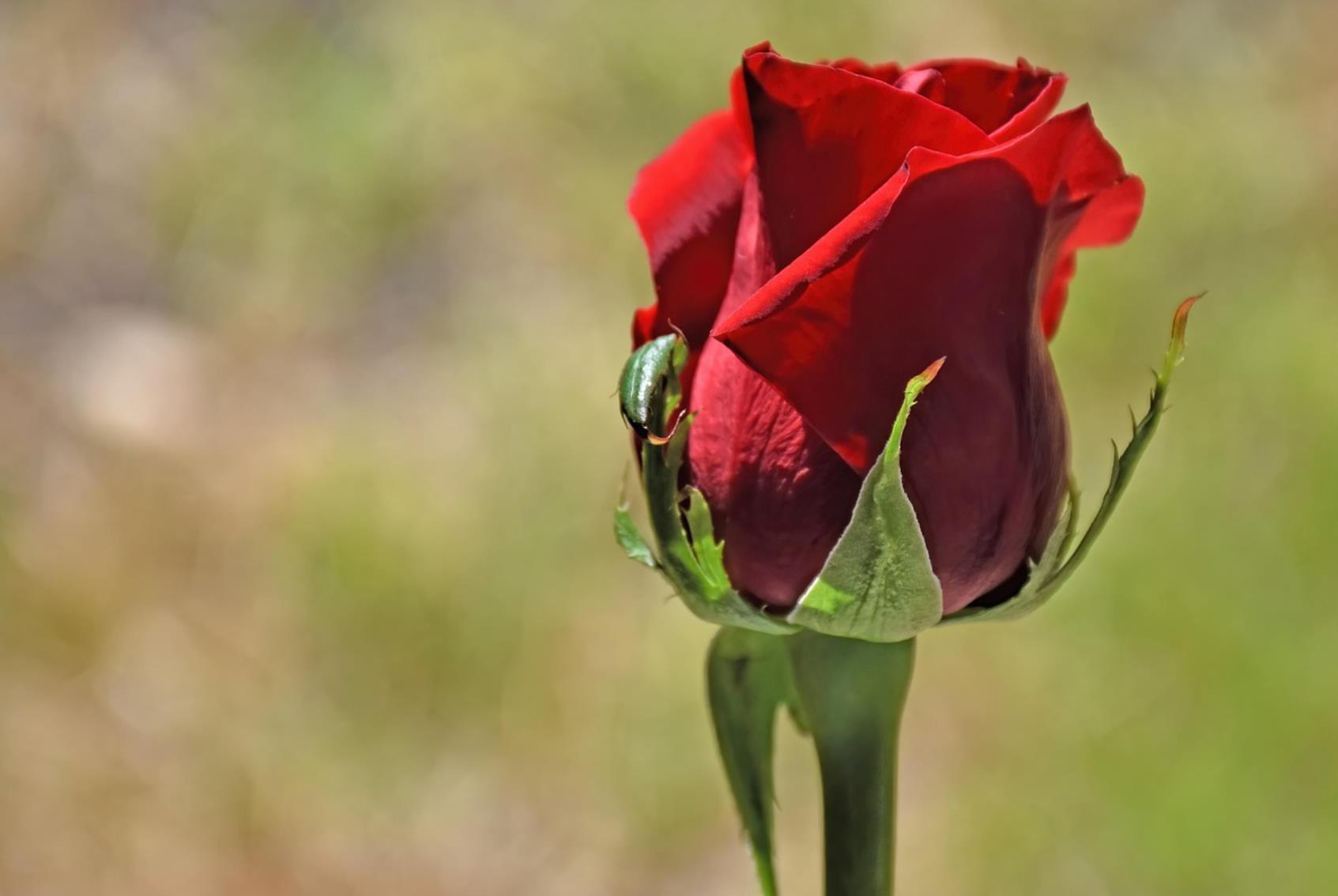 55岁后夫妻分床睡正常吗