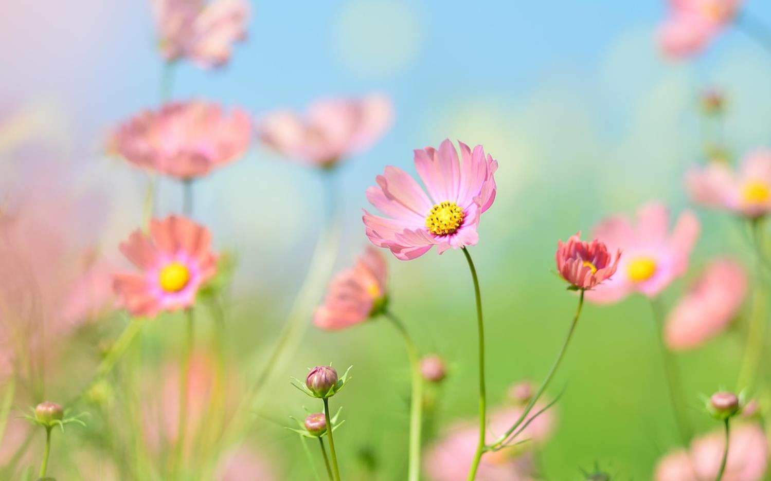 母子关系发生矛盾怎么处理