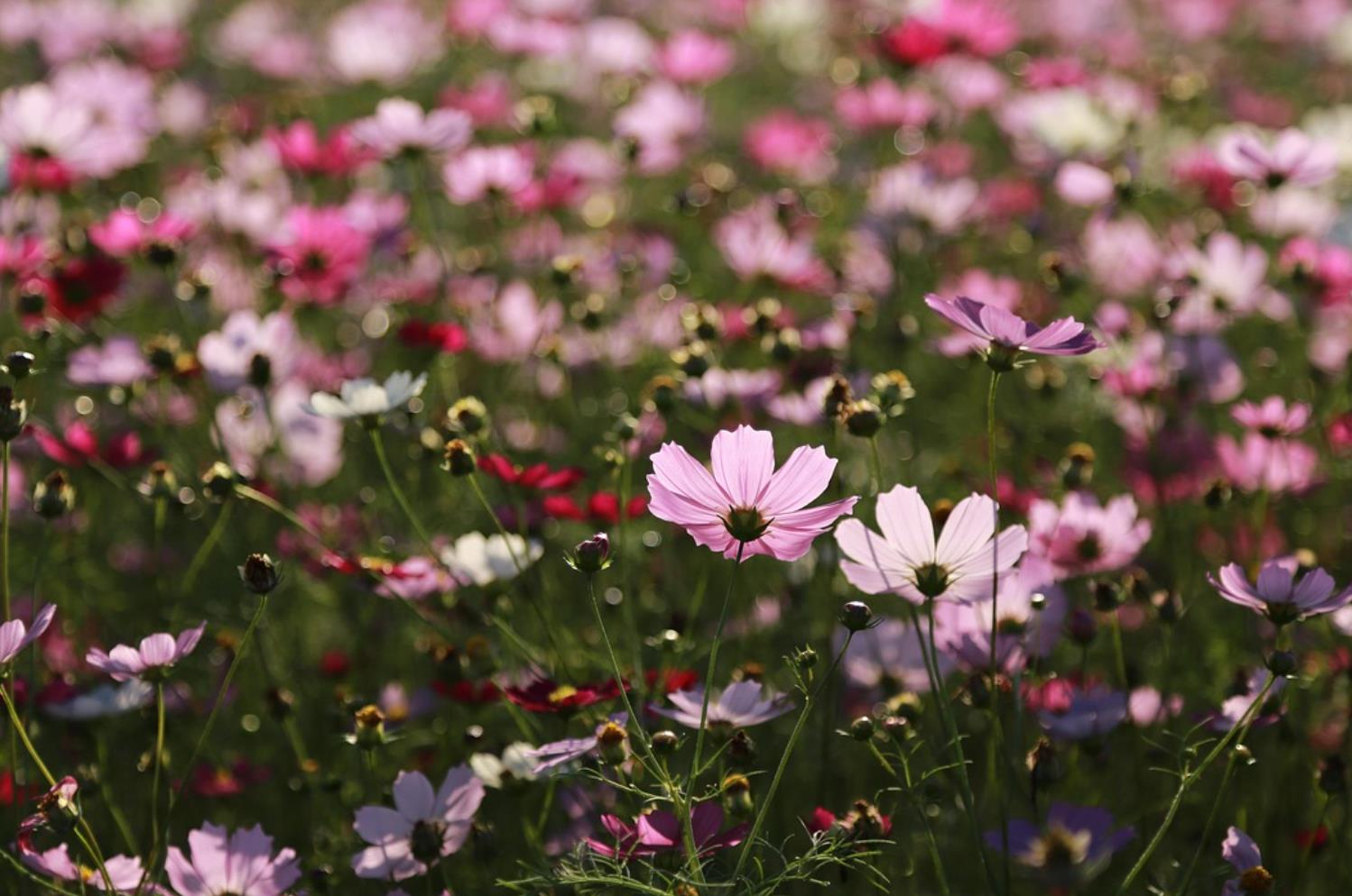 母子关系发生矛盾怎么处理