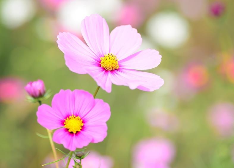 母子关系发生矛盾怎么处理