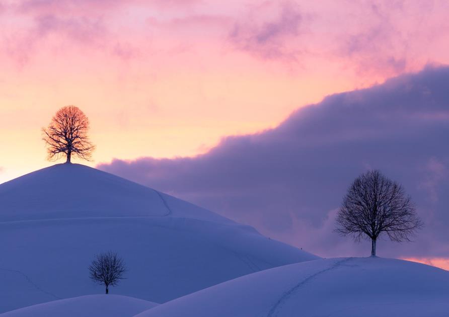 哪些星座永远把老婆放在首位