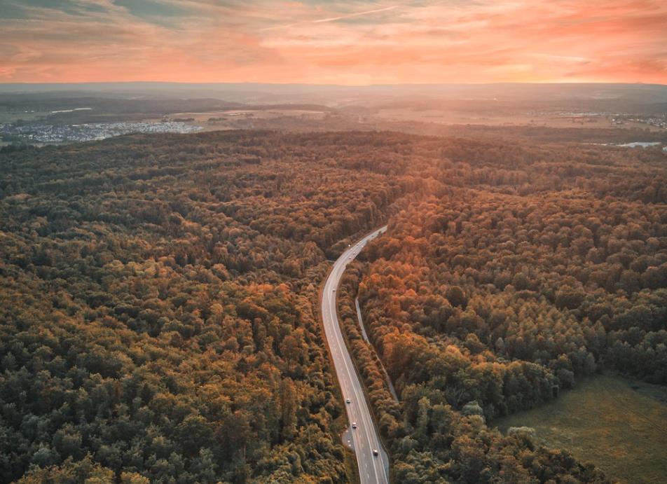 哪些星座永远把老婆放在首位