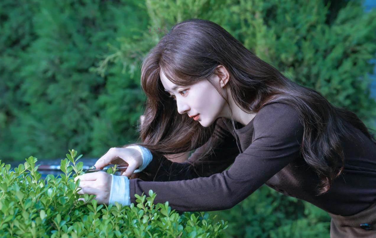 第一次亲眼见到明星的情景和感觉是怎样的