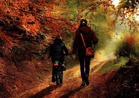 母女情深的温馨时刻